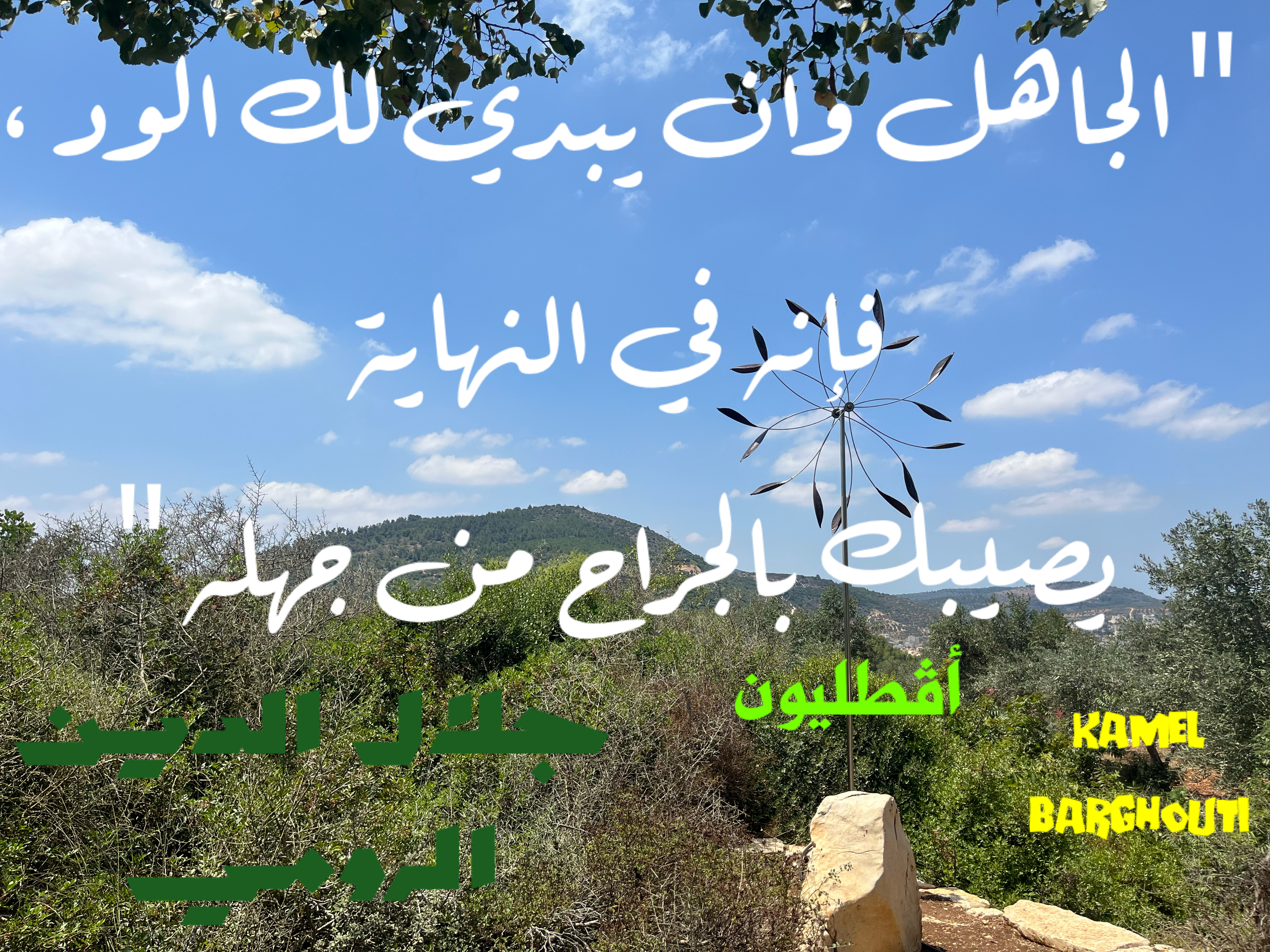 Image 316