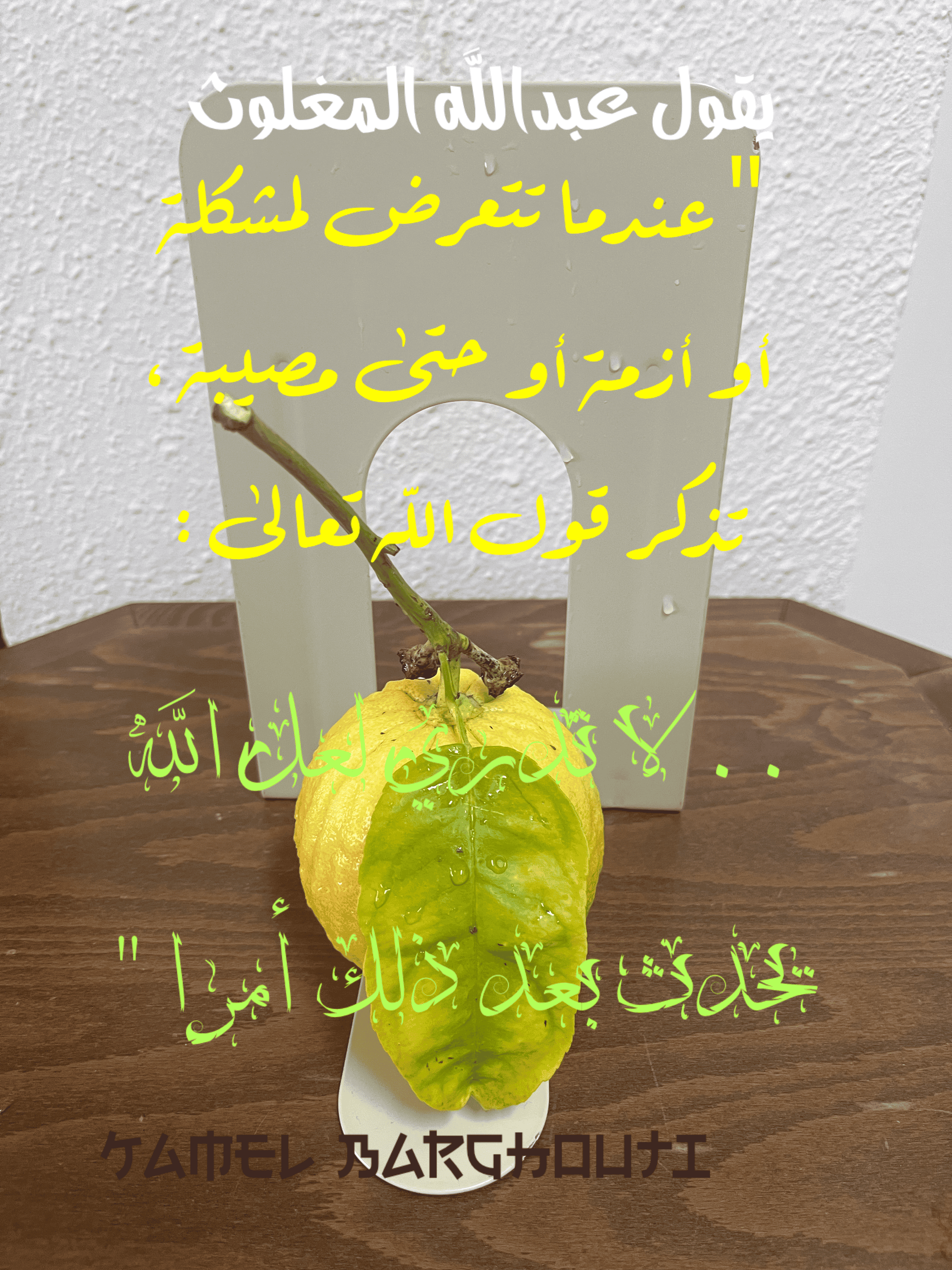 Image 205
