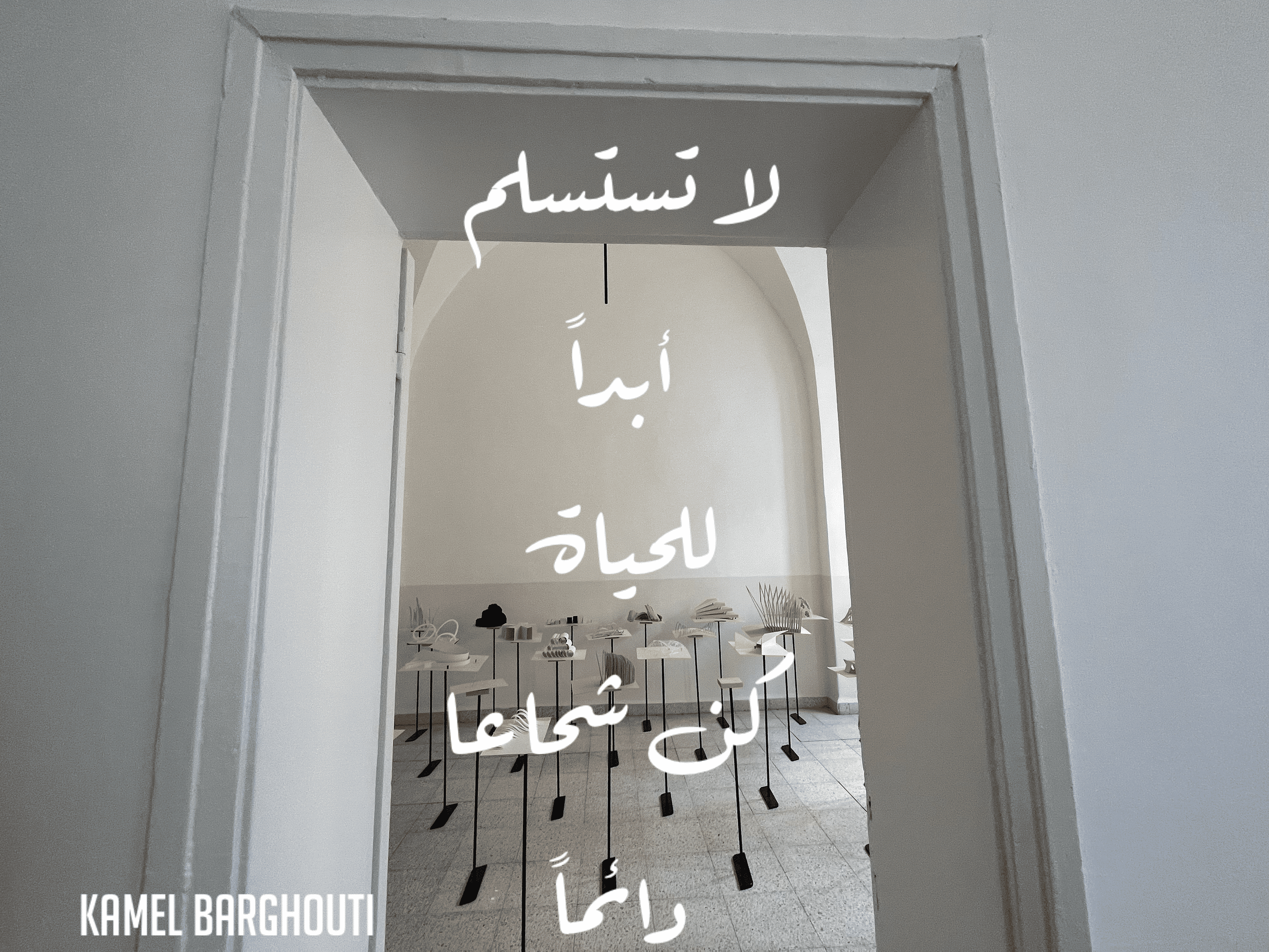 Image 164