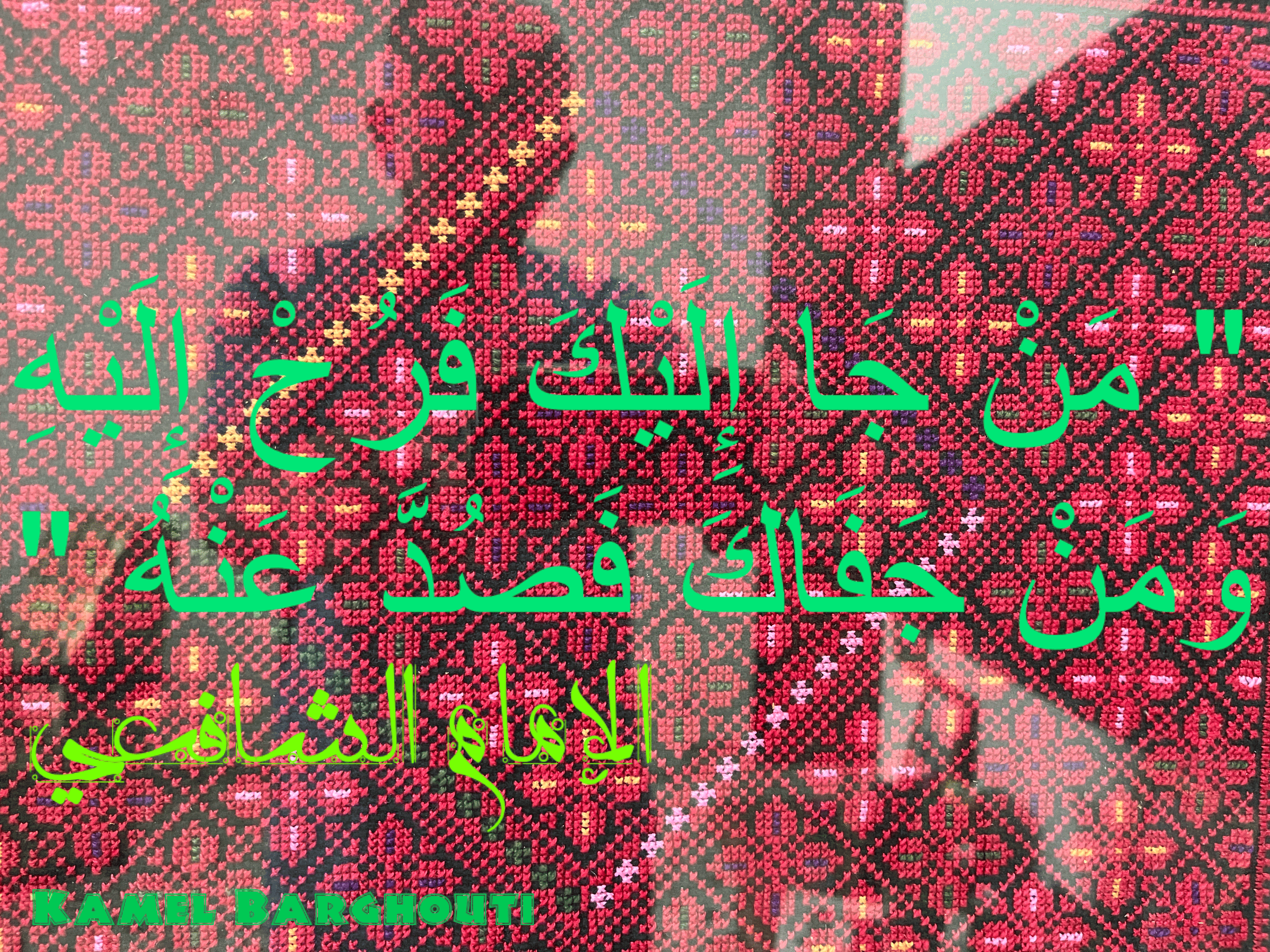 Image 8