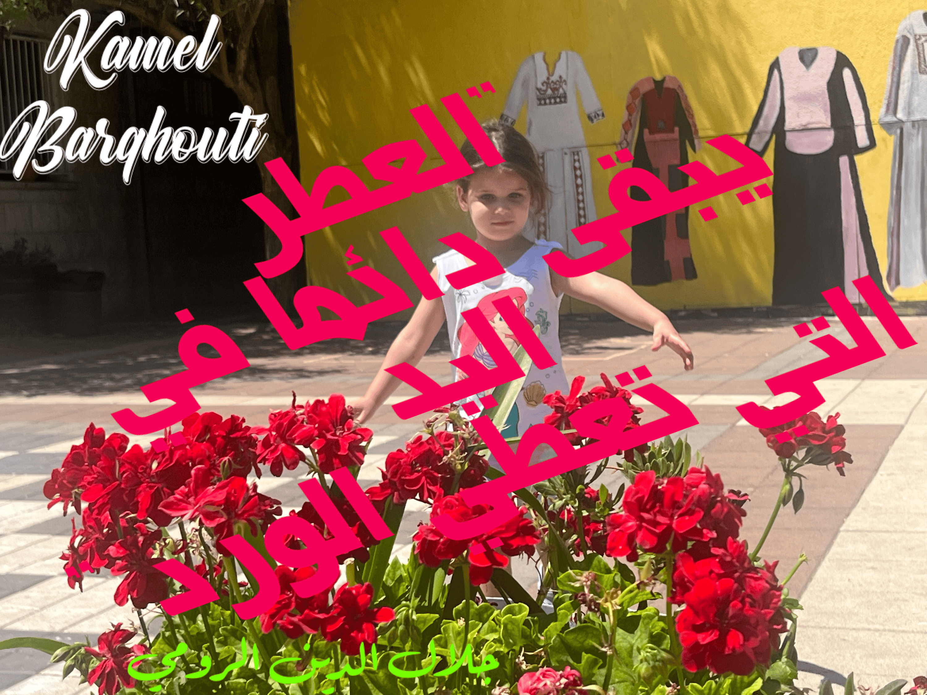 Image 29