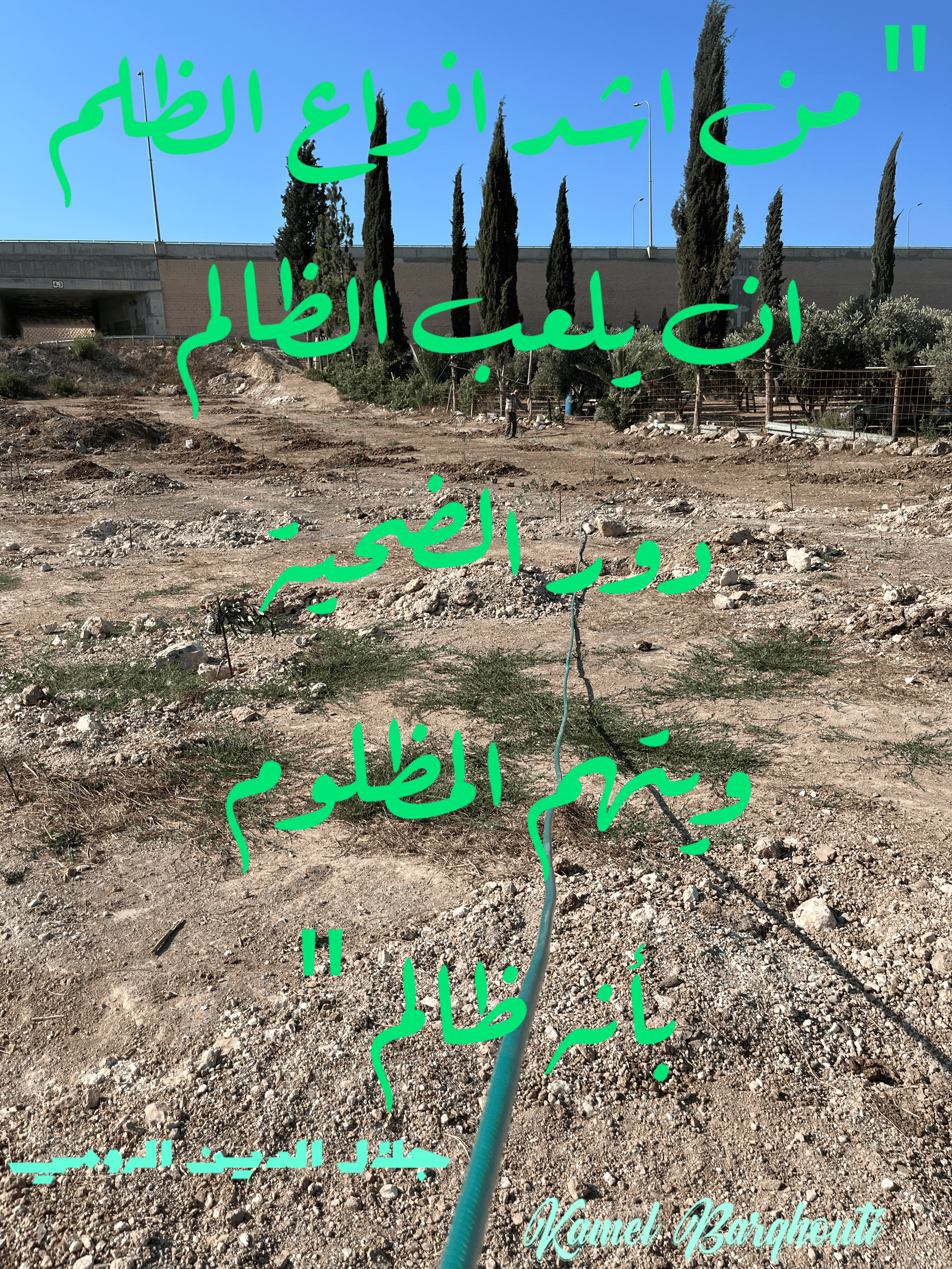 Image 35