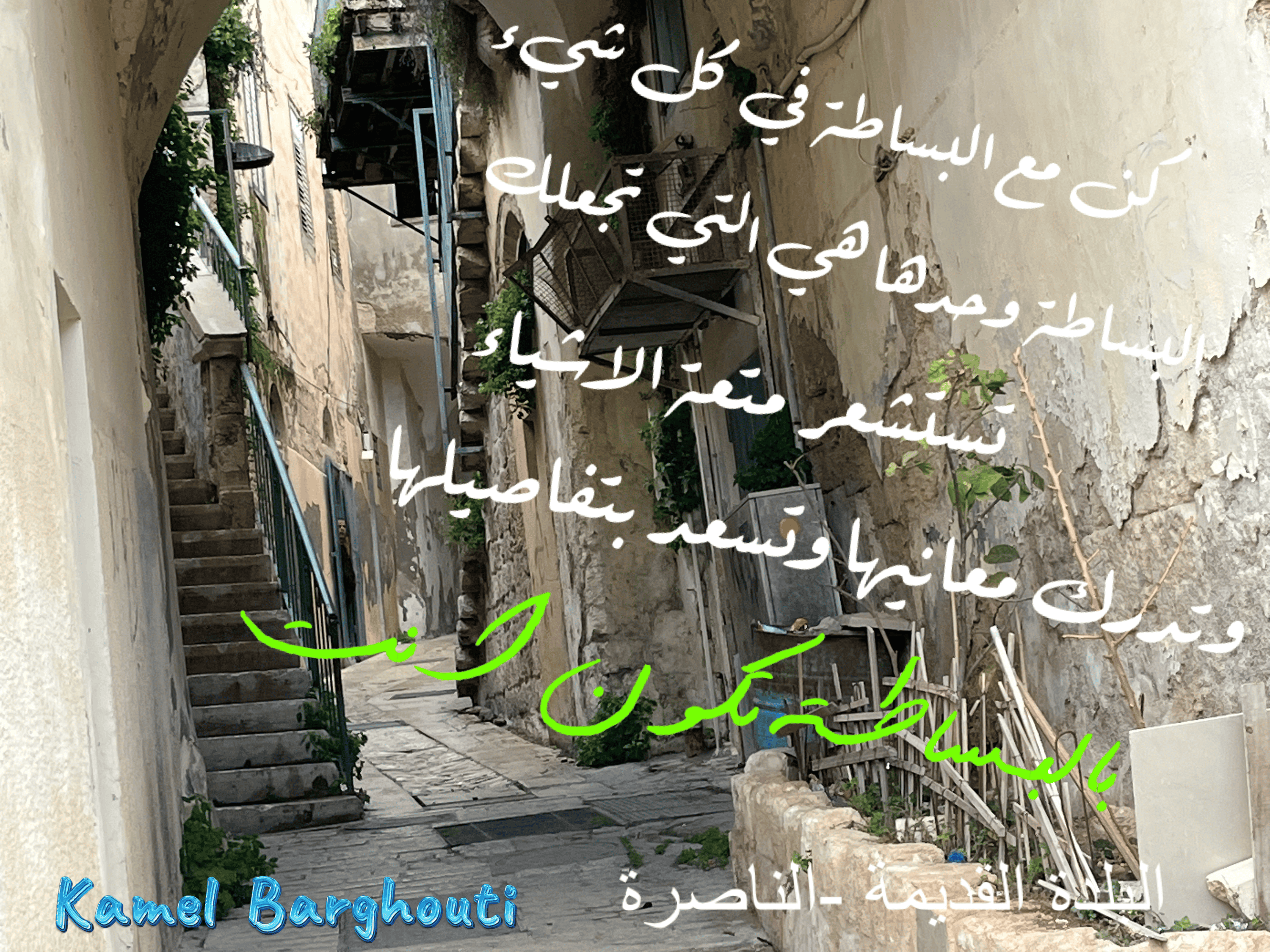 Image 305