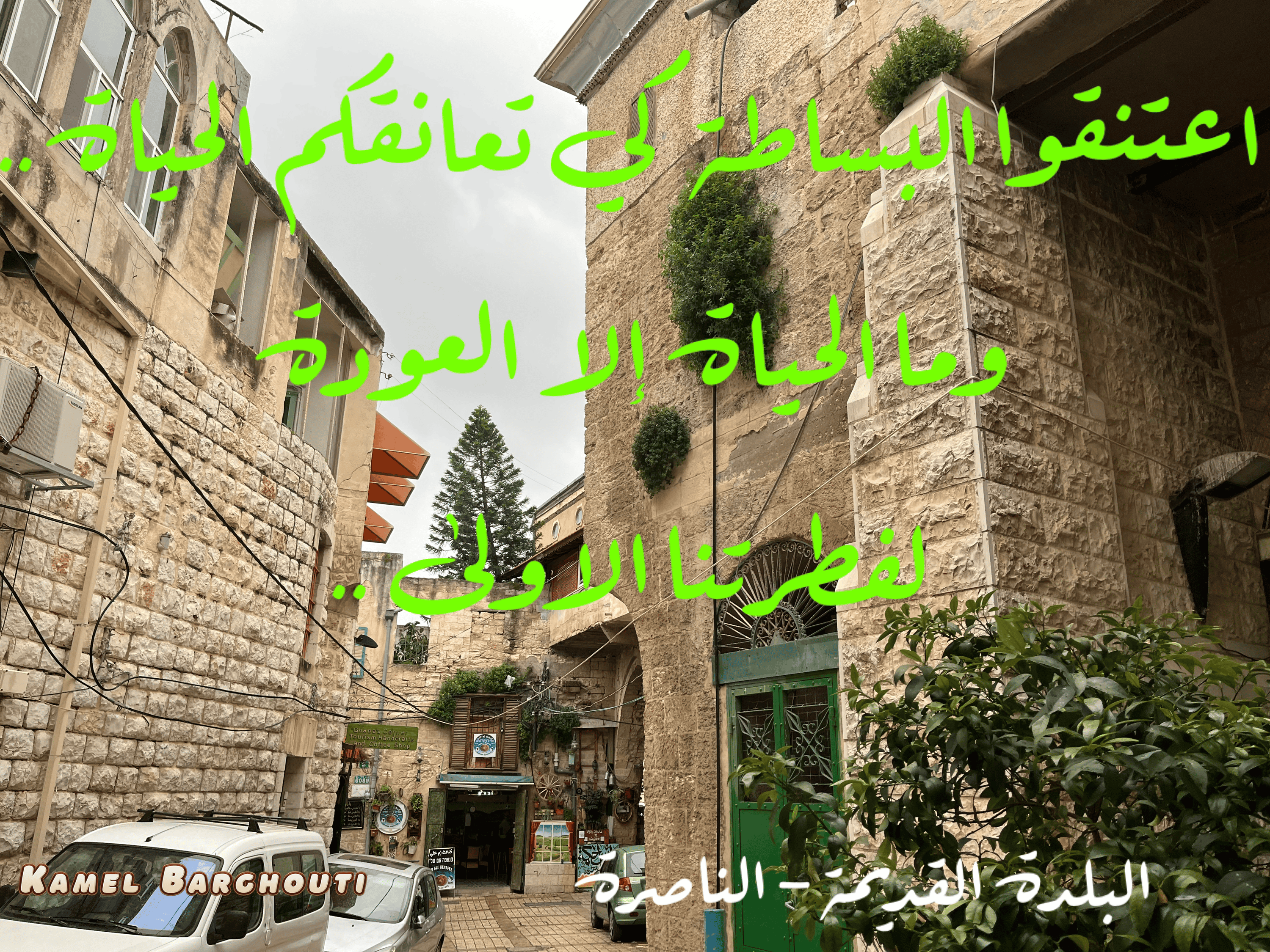 Image 306