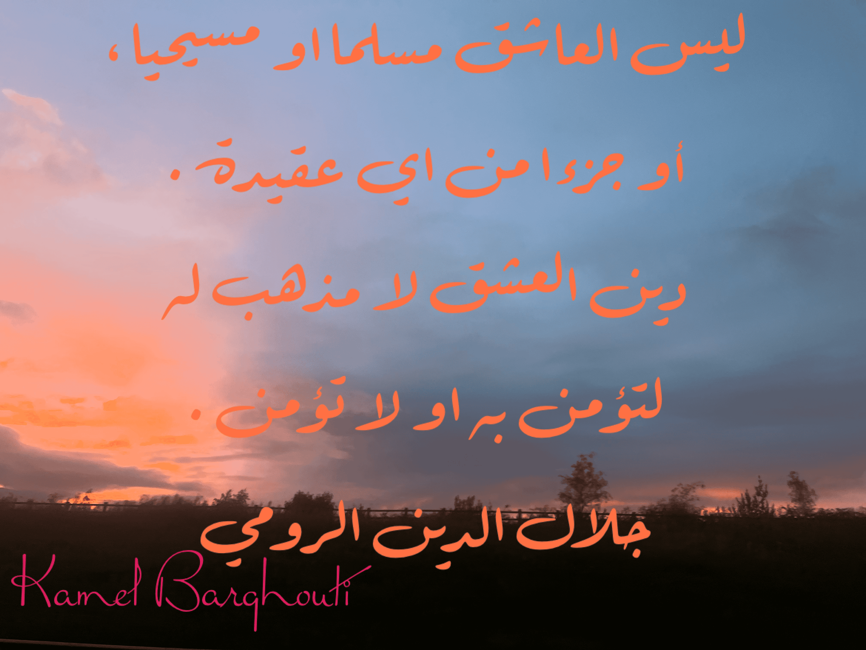 Image 371