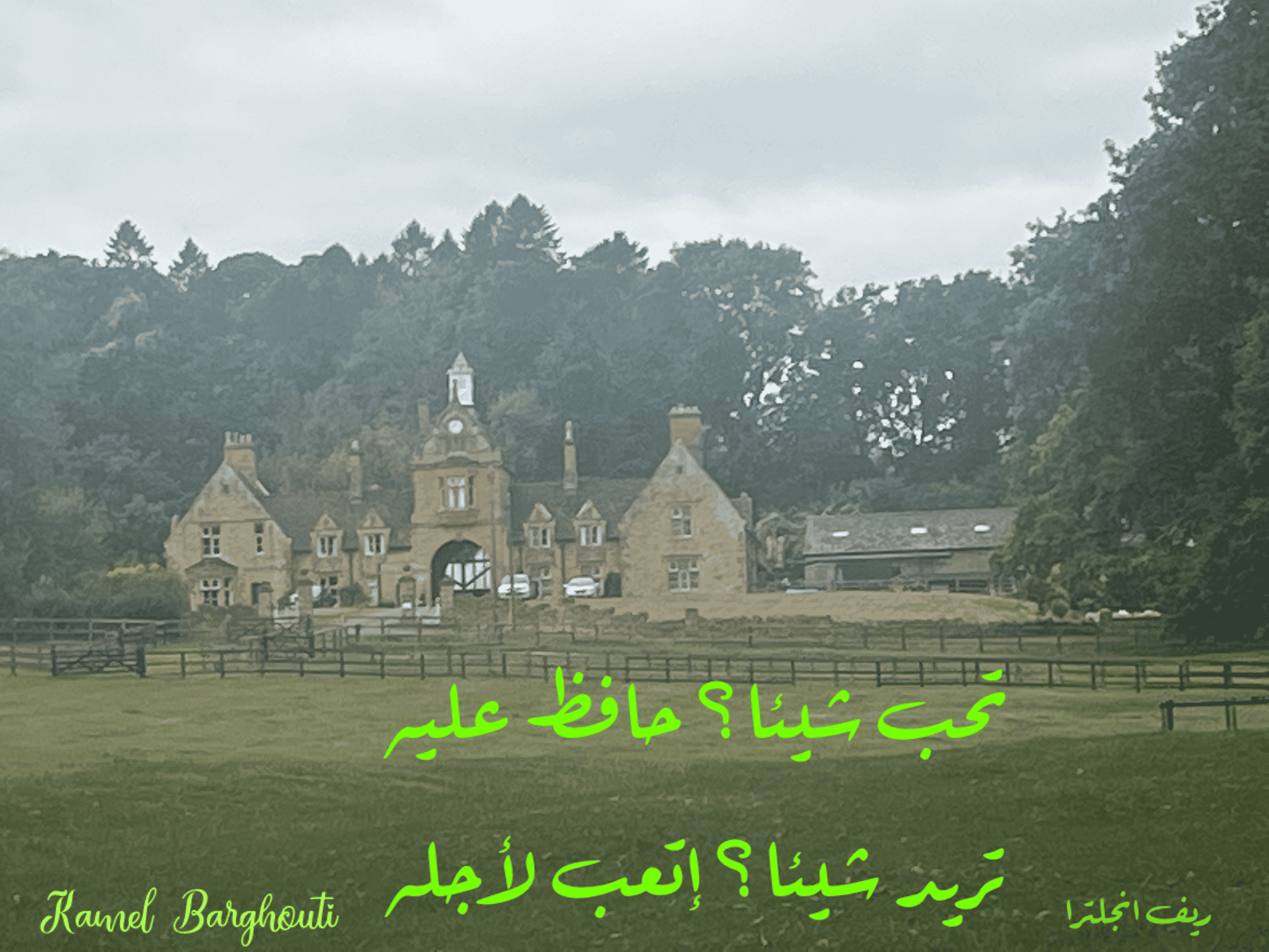 Image 376