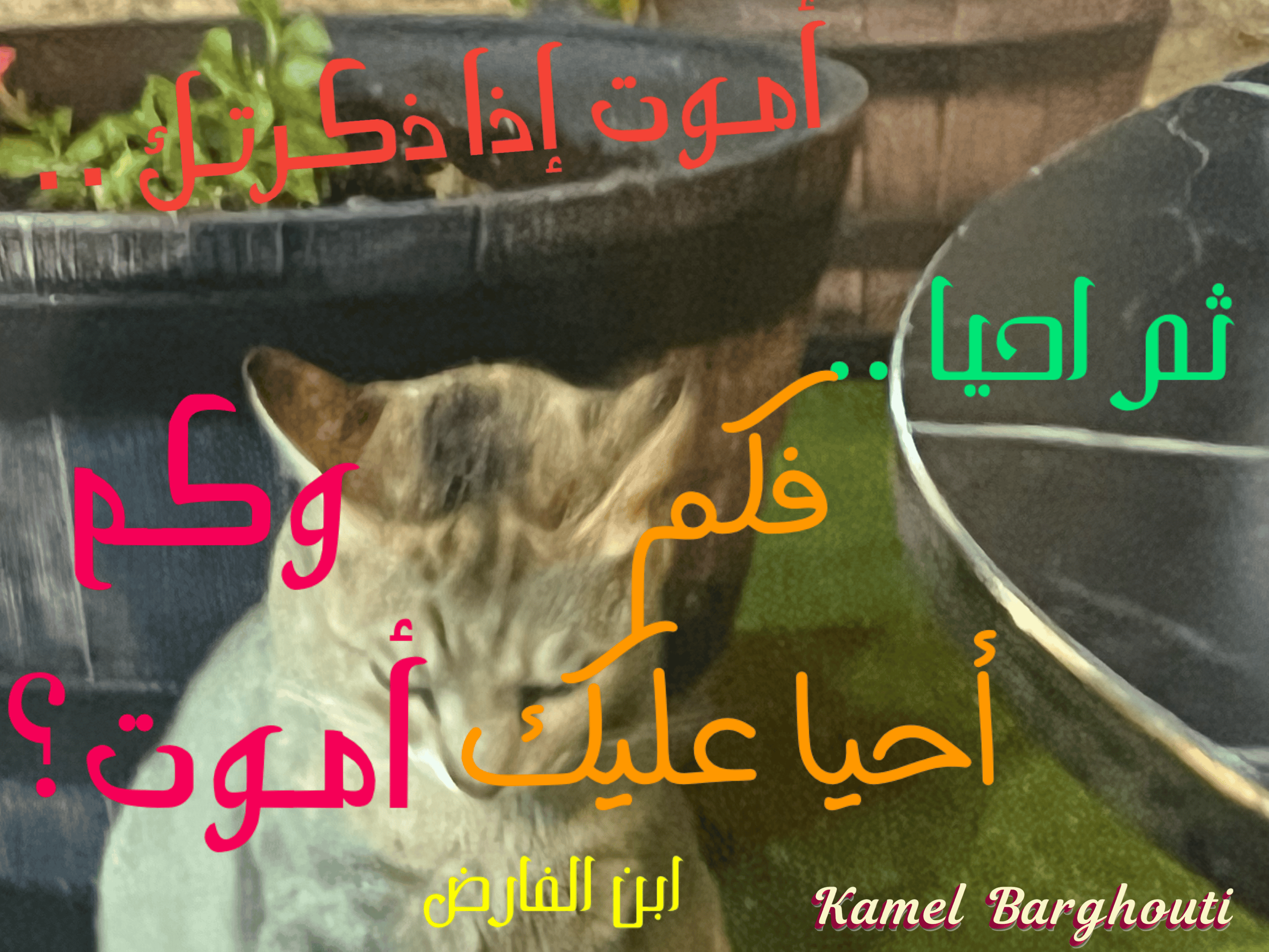 Image 395