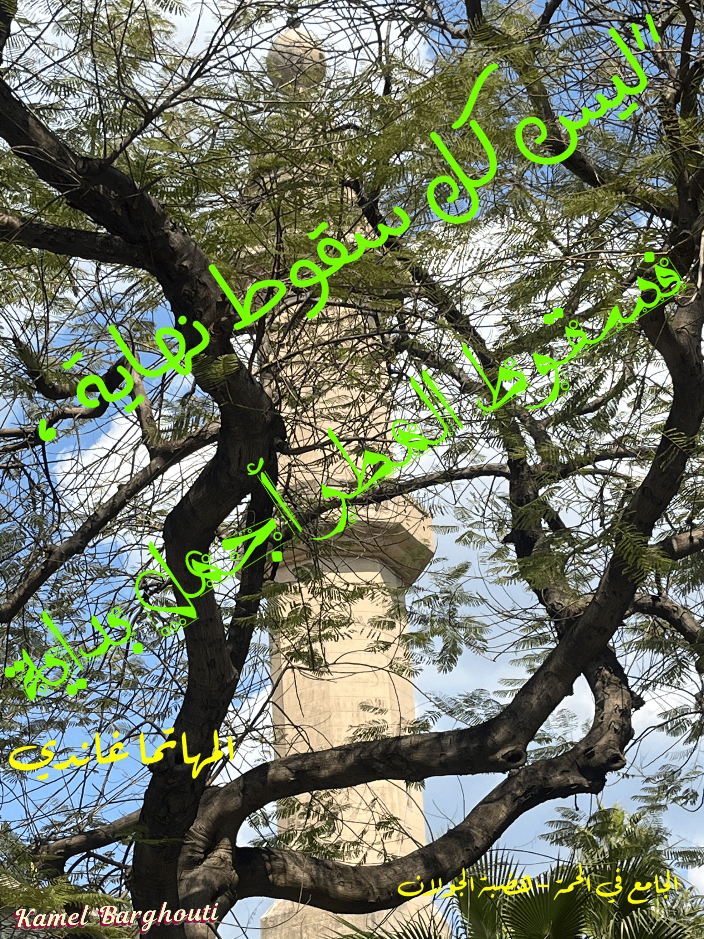 Image 307