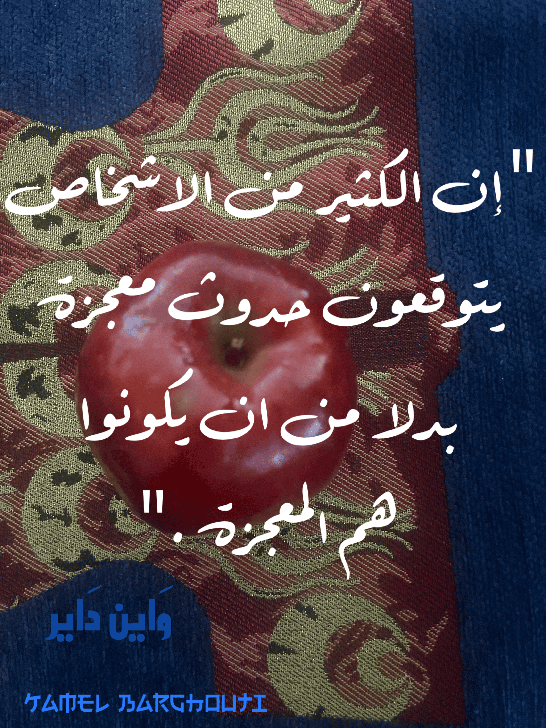 Image 316