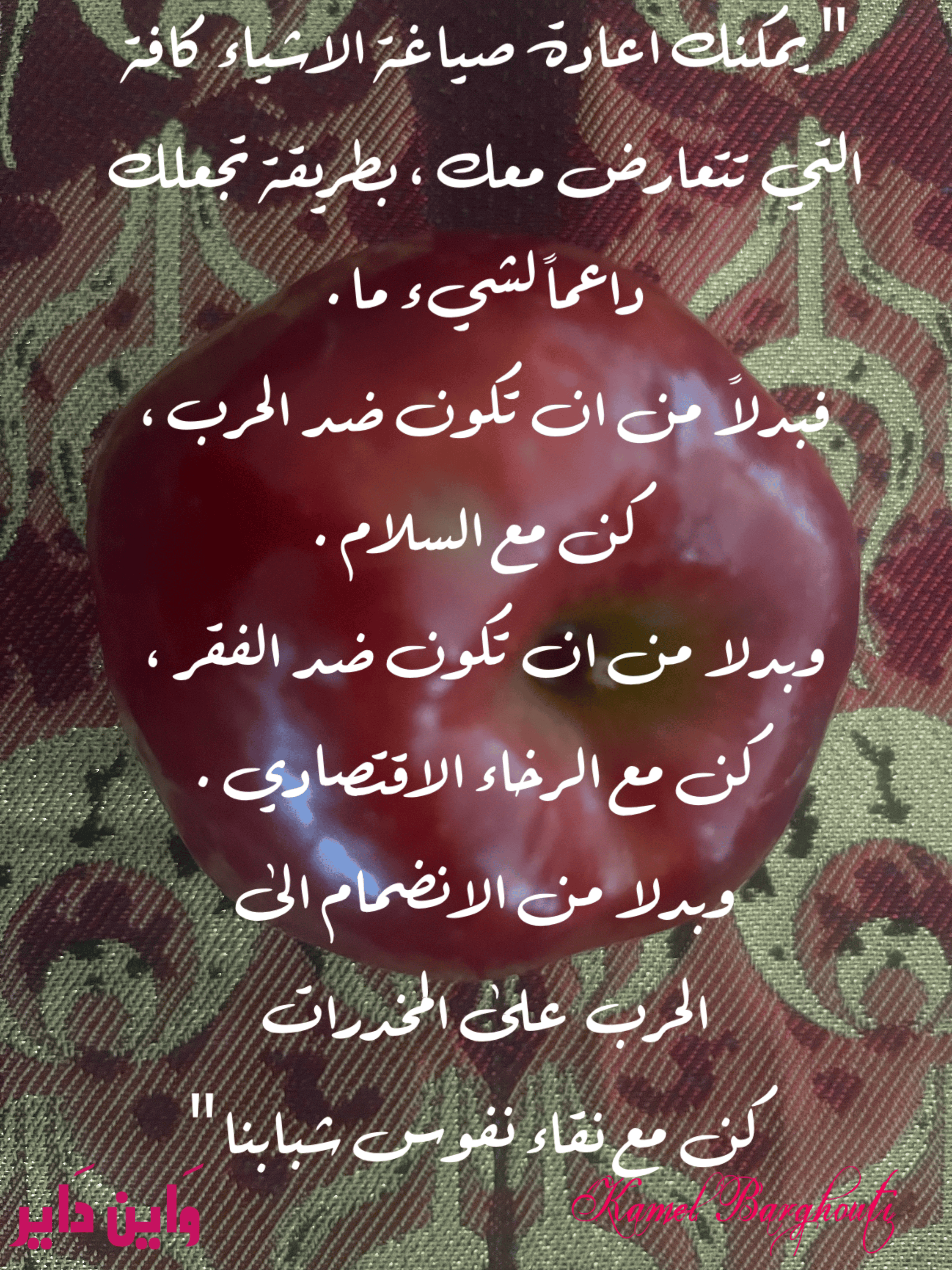 Image 317