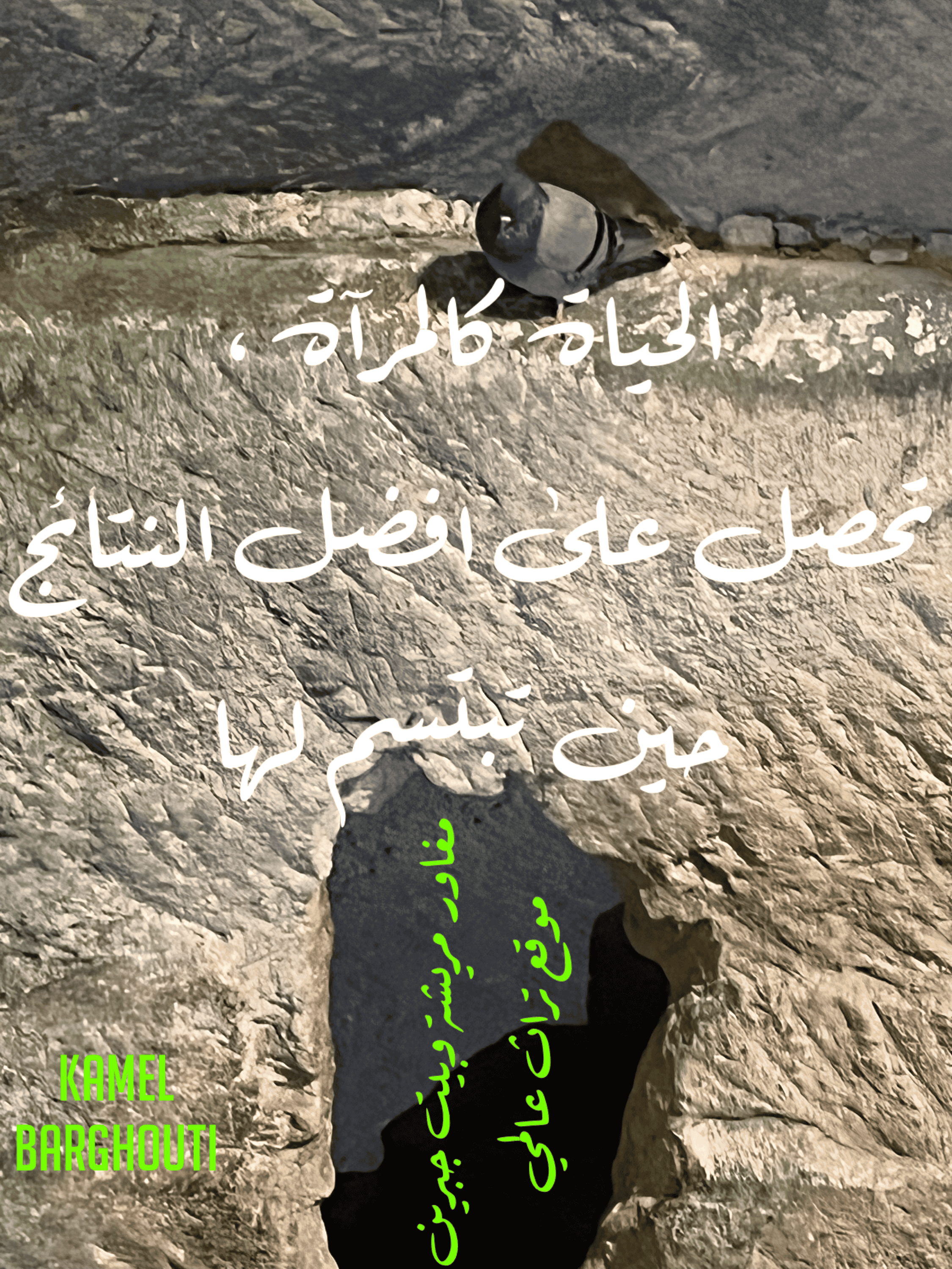 Image 34